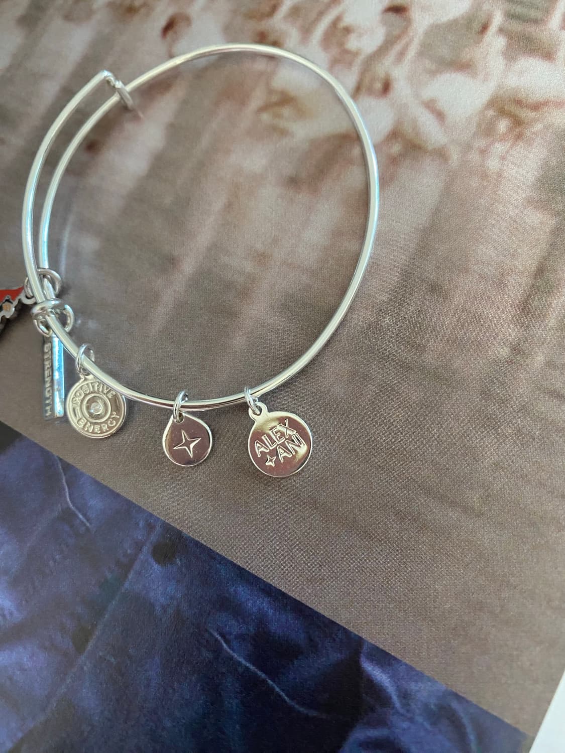 Alex and Ani 카디널 참 뱅글 (실버톤) 팔찌 상품이미지3