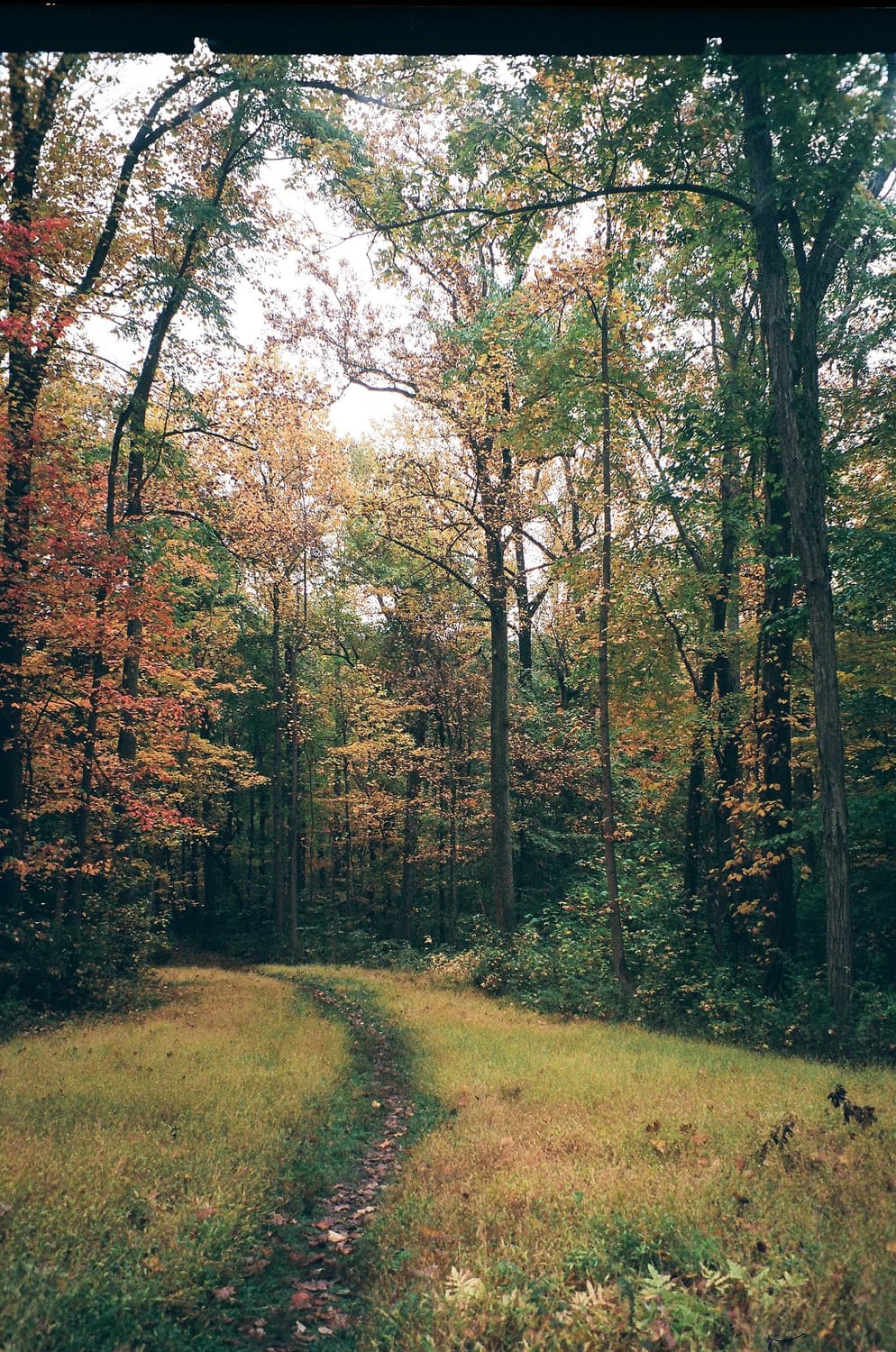 작례 스냅용 최강 니콘 AF 줌 터치 470 쿼츠 데이트 필름카메라 빈티 상품이미지5