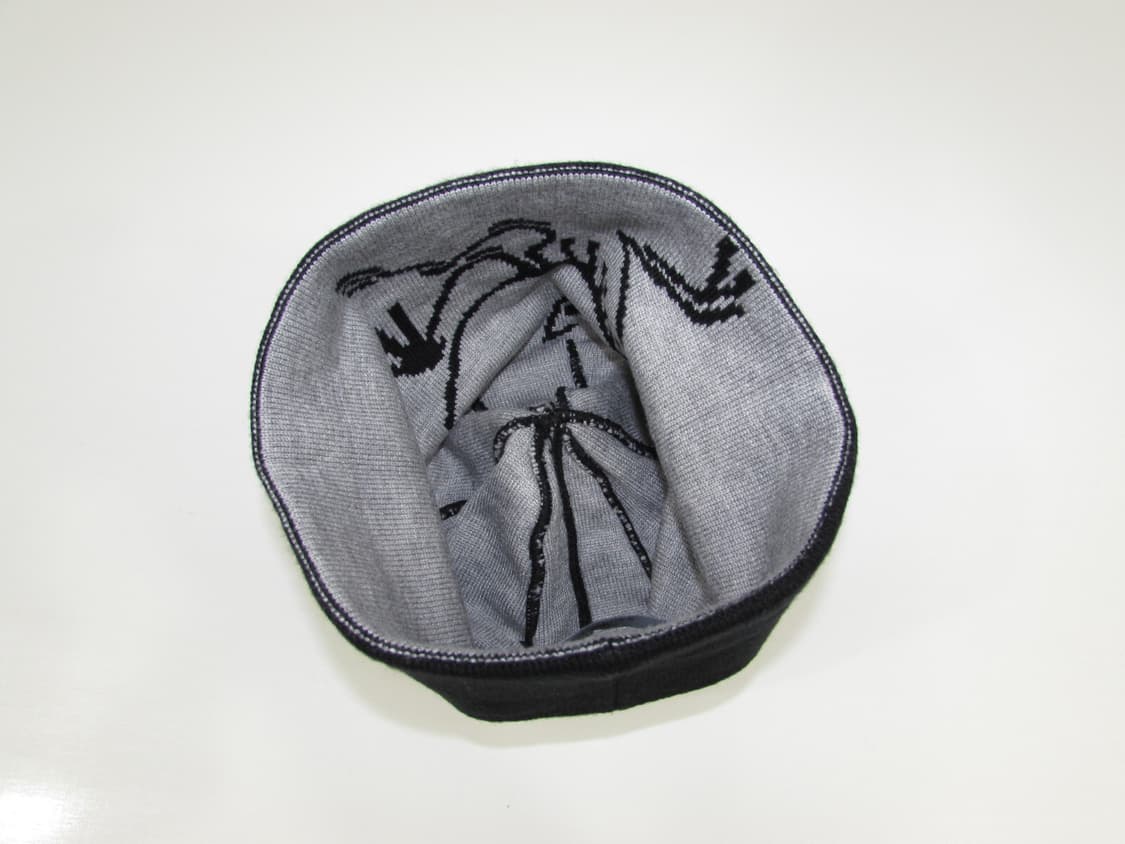 아크테릭스 빅로고 니트 비니 상품이미지5