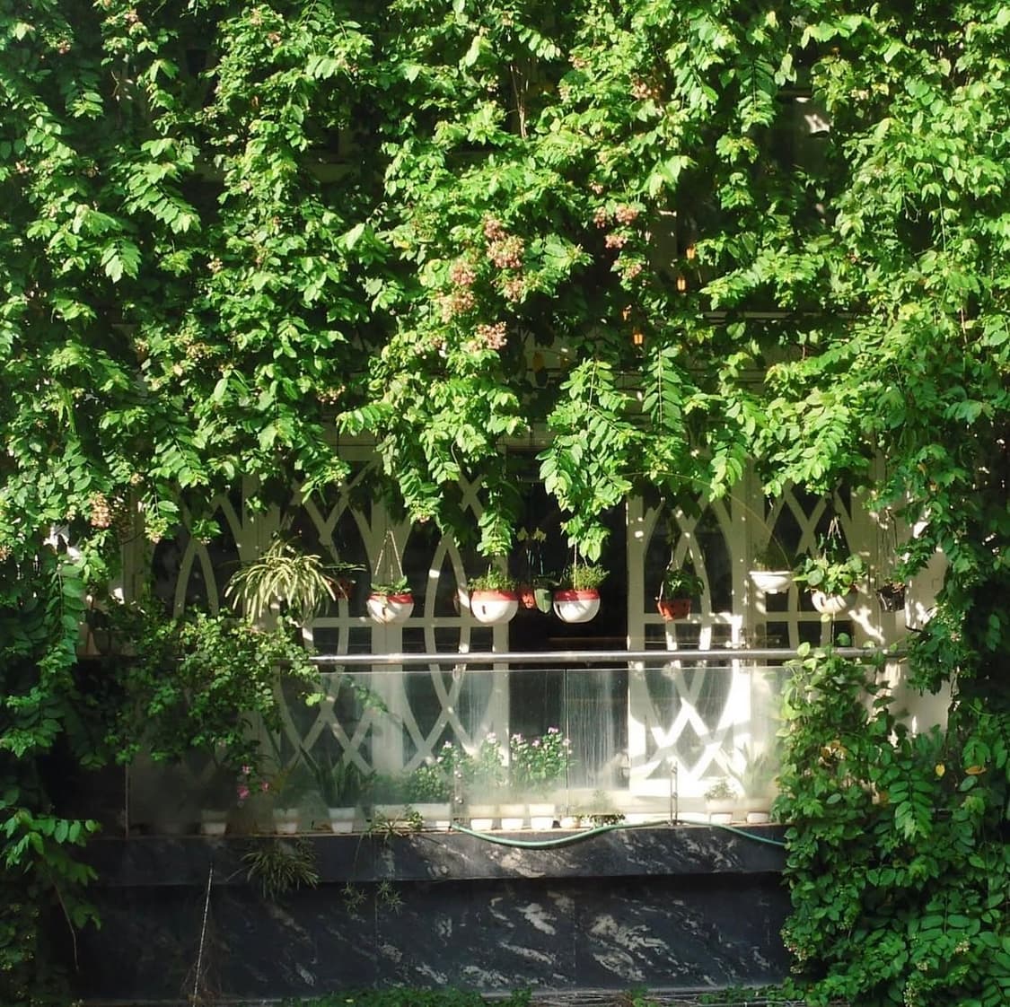 후지필름 파인픽스 Fujifilm FinePix Z300 디지털카메라 상품이미지7