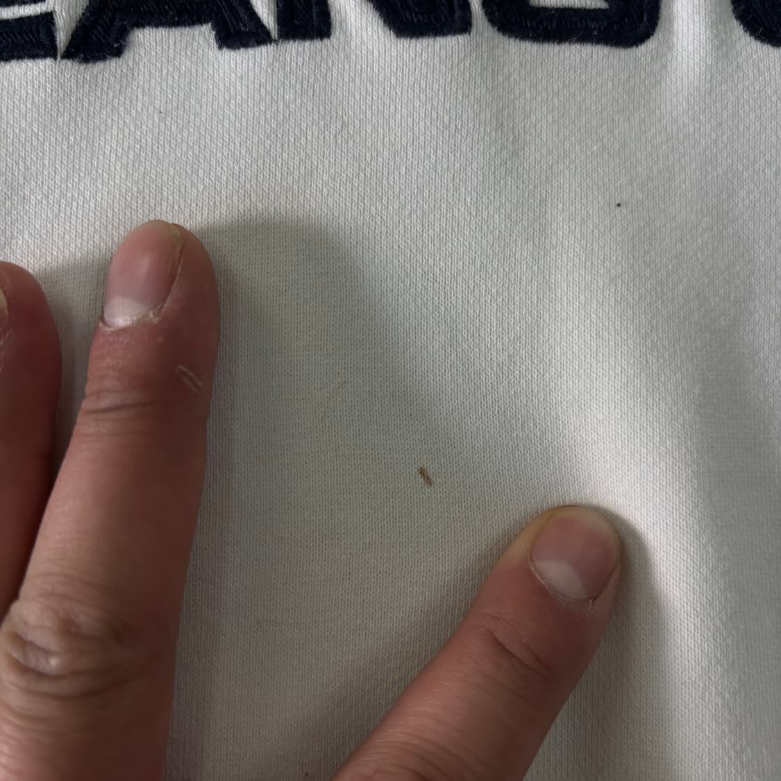 105 폴로랄프로렌 진스 빅로고 맨투맨 상품이미지4