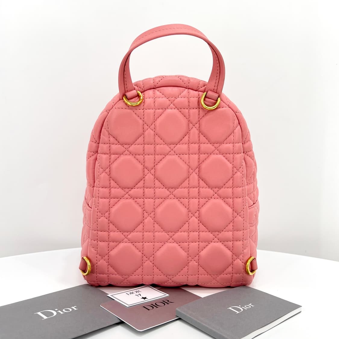 크리스찬 디올 까나쥬 미니 백팩 핑크 상품이미지2