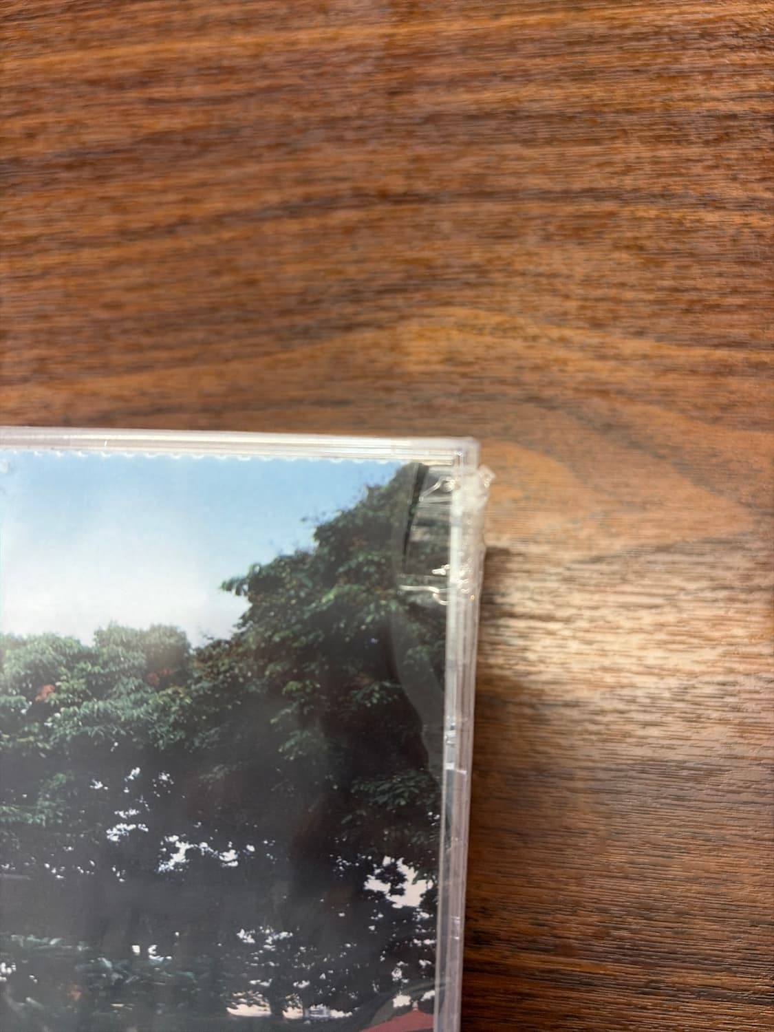 빈지노 노비츠키 앨범 한정판  상품이미지3