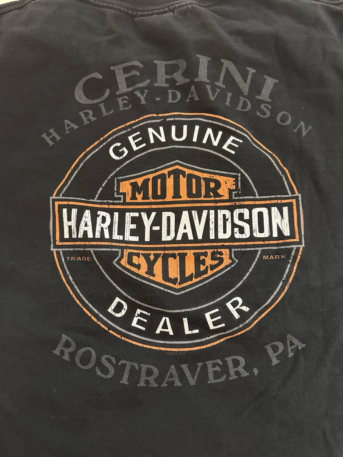 빈티지 할리데이비슨 클라운 블루 플레임 롱슬리브 L 상품이미지6