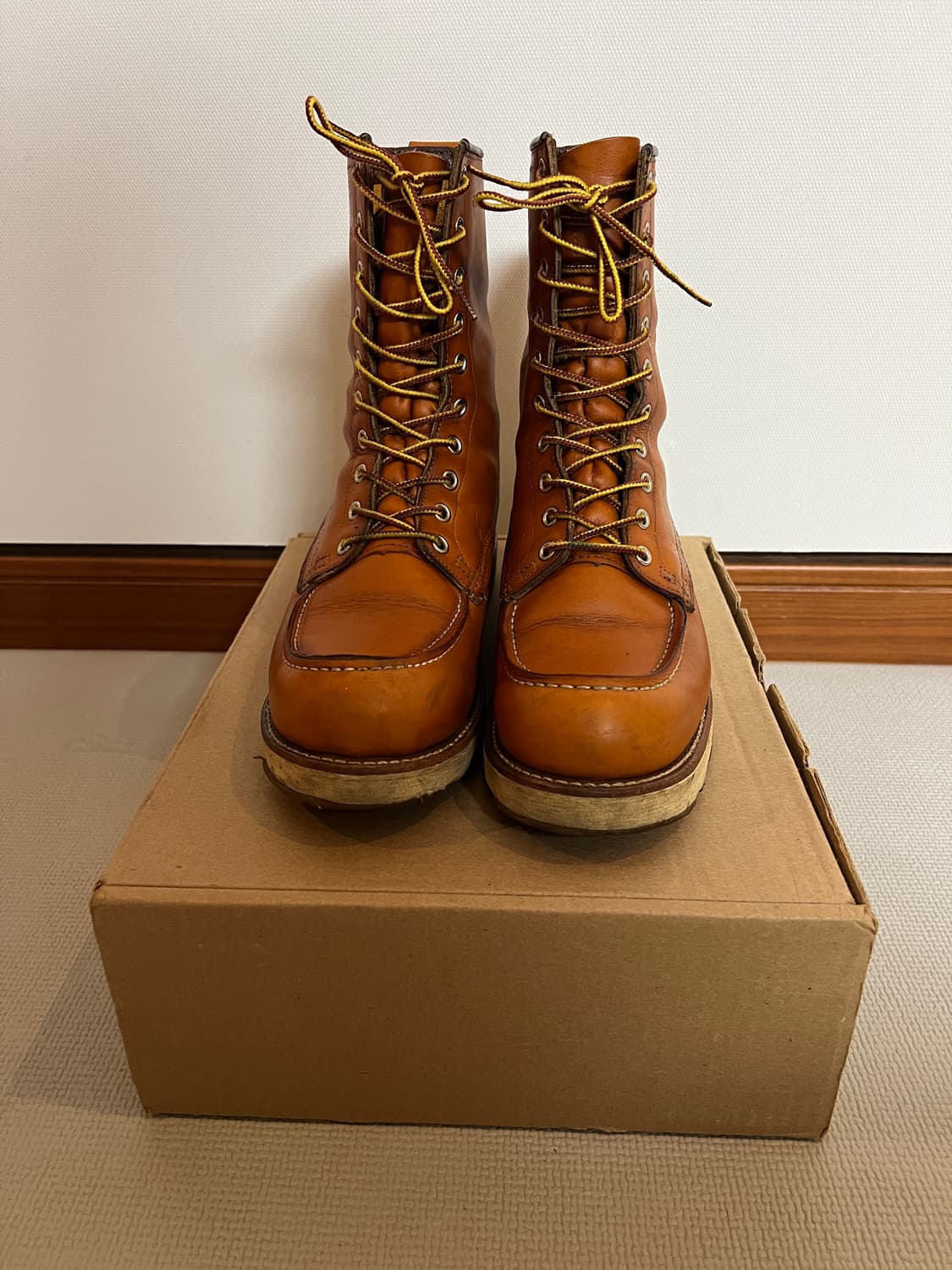 무료배송 - Made in USA 레드윙 9877 아이리쉬세터 265 상품이미지2