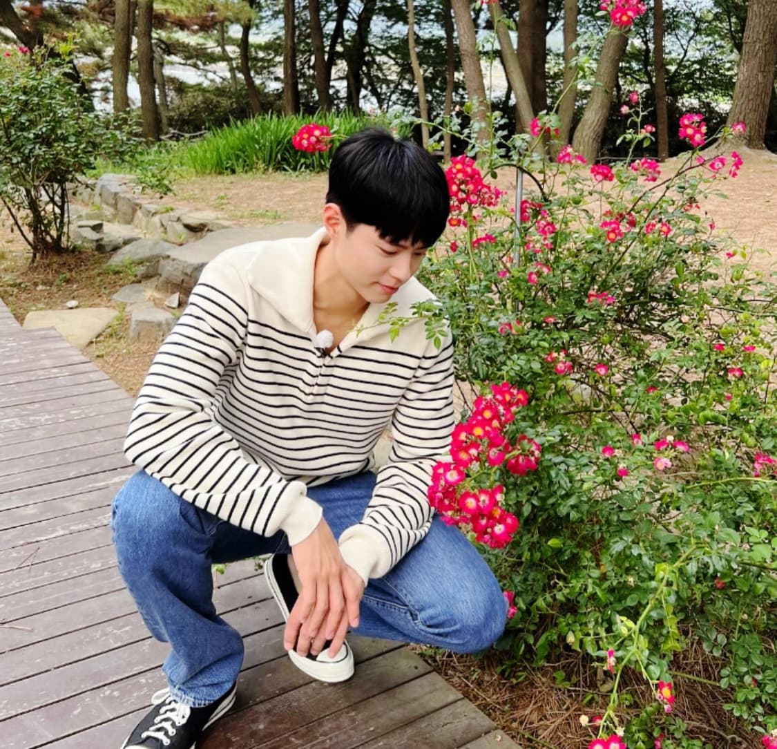 [박보검님 착용] 셀린느 마린 오픈카라 스웨터 상품이미지1