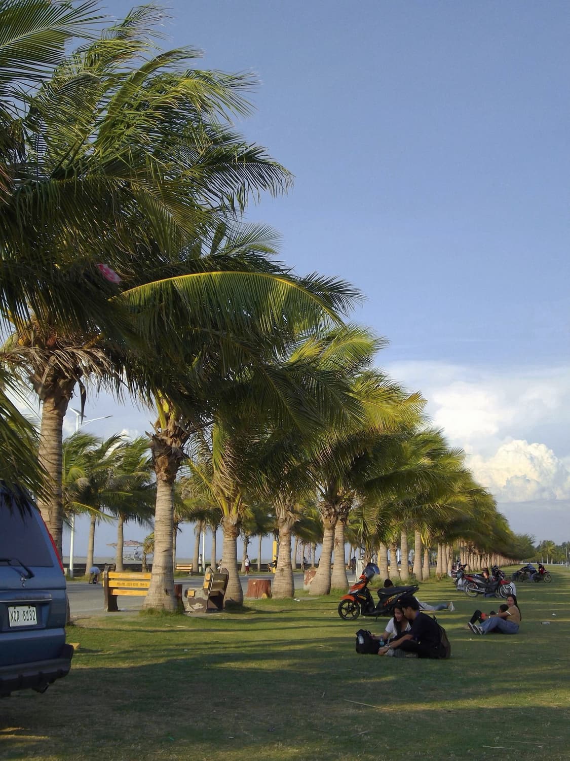 [*풀박!⚡️/작례⭕️] 펜탁스 옵티오 RS1000 빈티지 디지털 카메라 상품이미지10