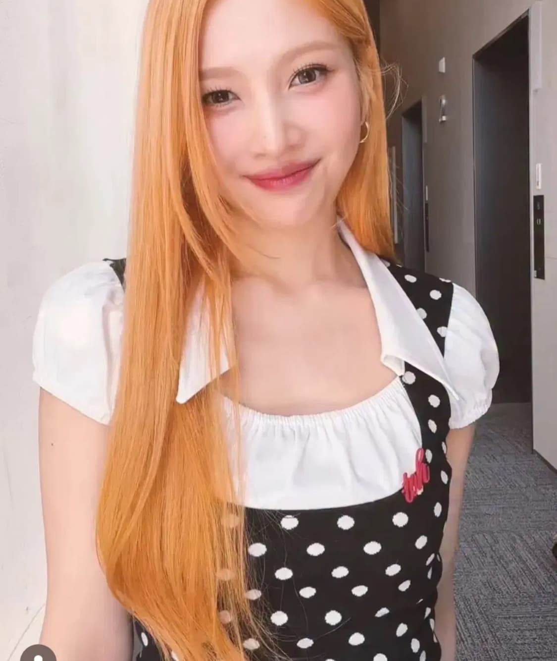 Toh 돌리탑 상품이미지2