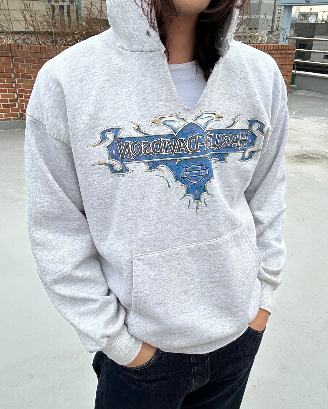 (L) 할리데이비슨 트라이벌 크로스 후드티 상품이미지1