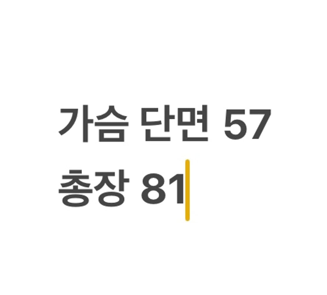 [ 110 ] 롯데 자이언츠 31번 손아섭 반팔 유니폼 b15 상품이미지8