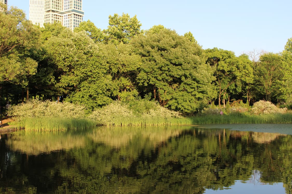 캐논 eos100d (본체,줌렌즈,배터리,충전기,가방) 상품이미지9