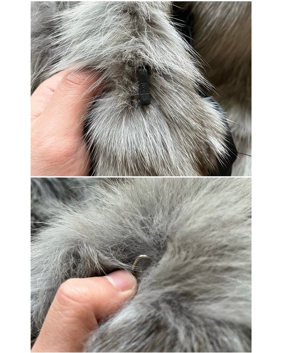 SAGA European Silver Fox For Coat 상품이미지8