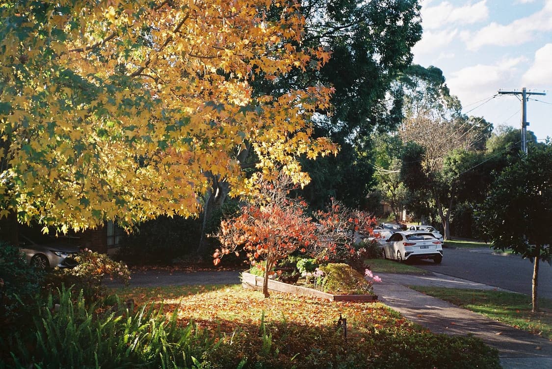 작례O 클래식 감성 치논 auto GL-S 필름카메라 빈티지 필카 상품이미지3
