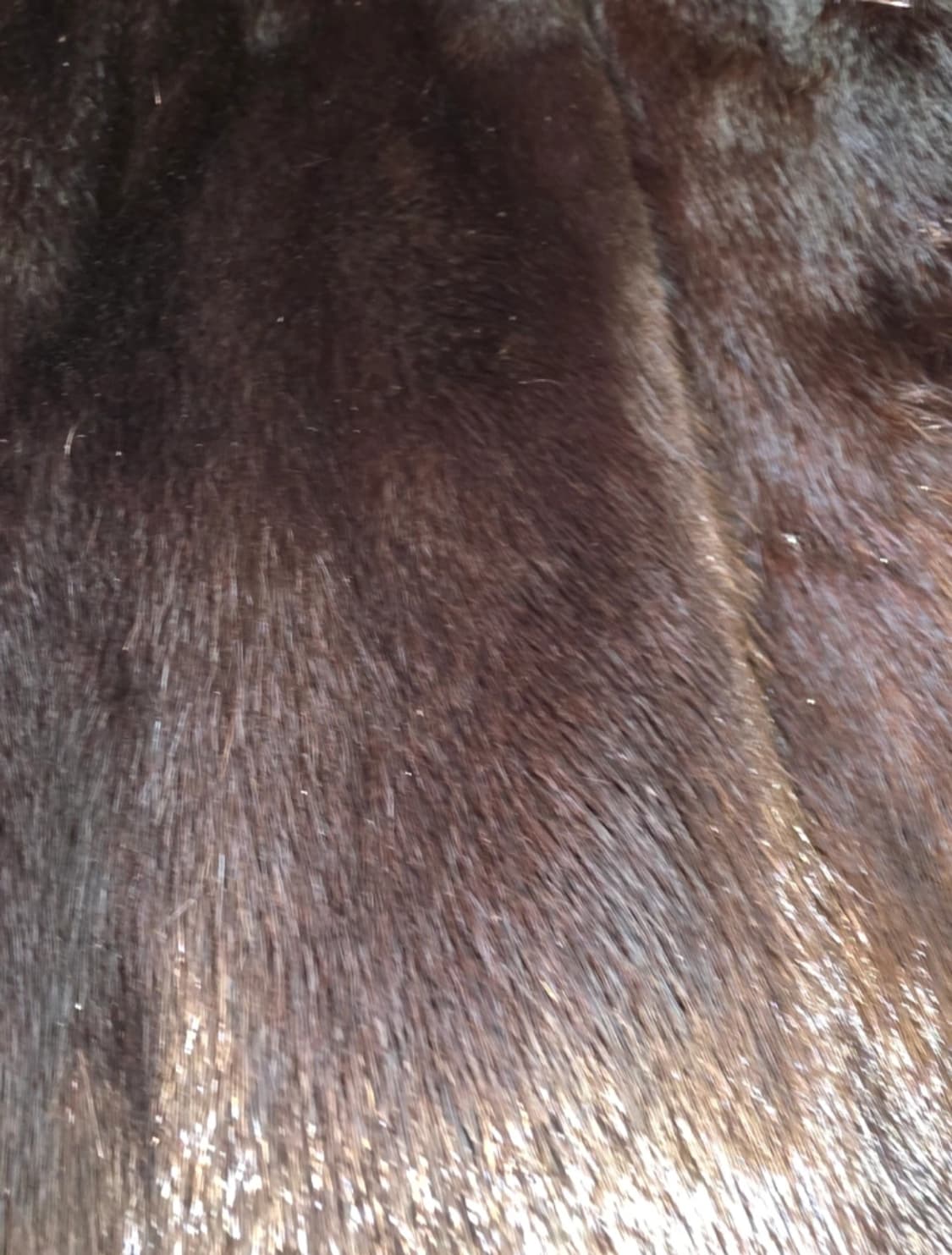 크롭 밍크 코트 F사이즈 상품이미지6