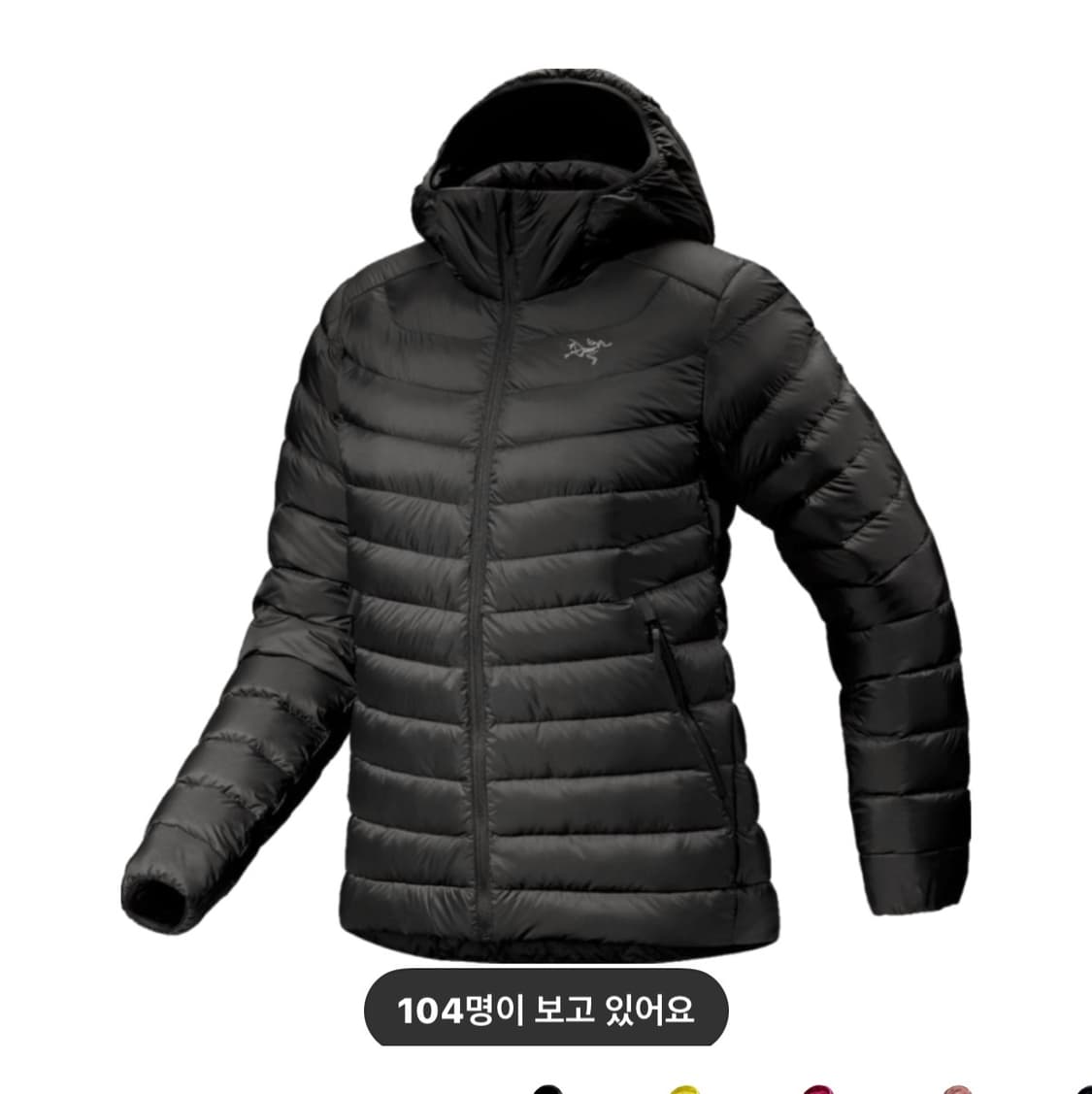 [m] (W) 아크테릭스 세륨 후디 블랙 우먼 상품이미지2