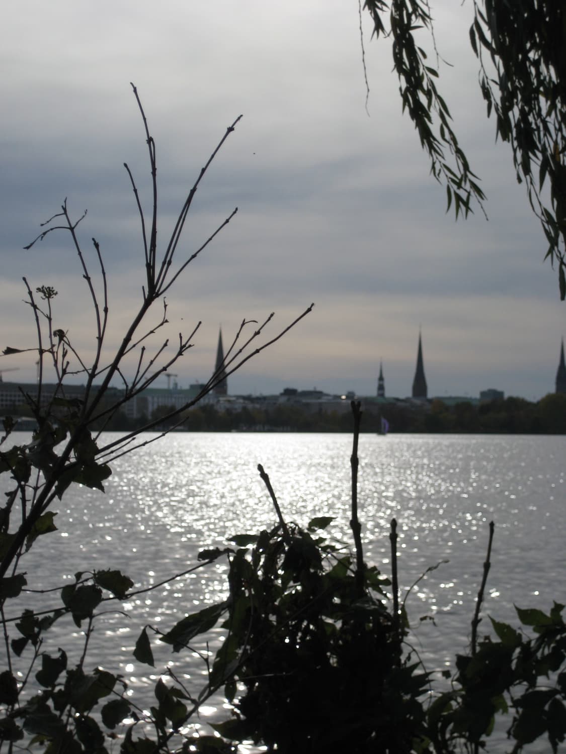 셀카&인플루언서!) Canon PowerShot G11 디카 카메라 상품이미지6