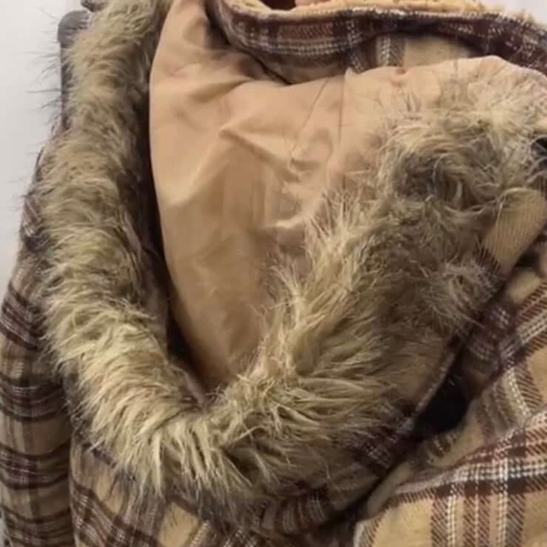 뮤트모리세트 상품이미지2