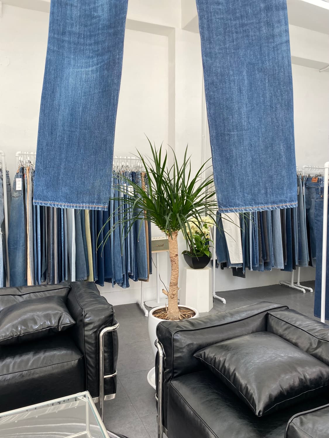 Levis501 Straight Fit 00s 30사이즈 a4835 상품이미지7