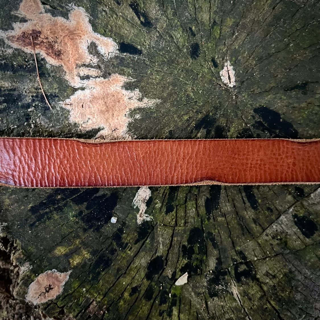 골든 버클 리얼 레더 벨트 상품이미지3