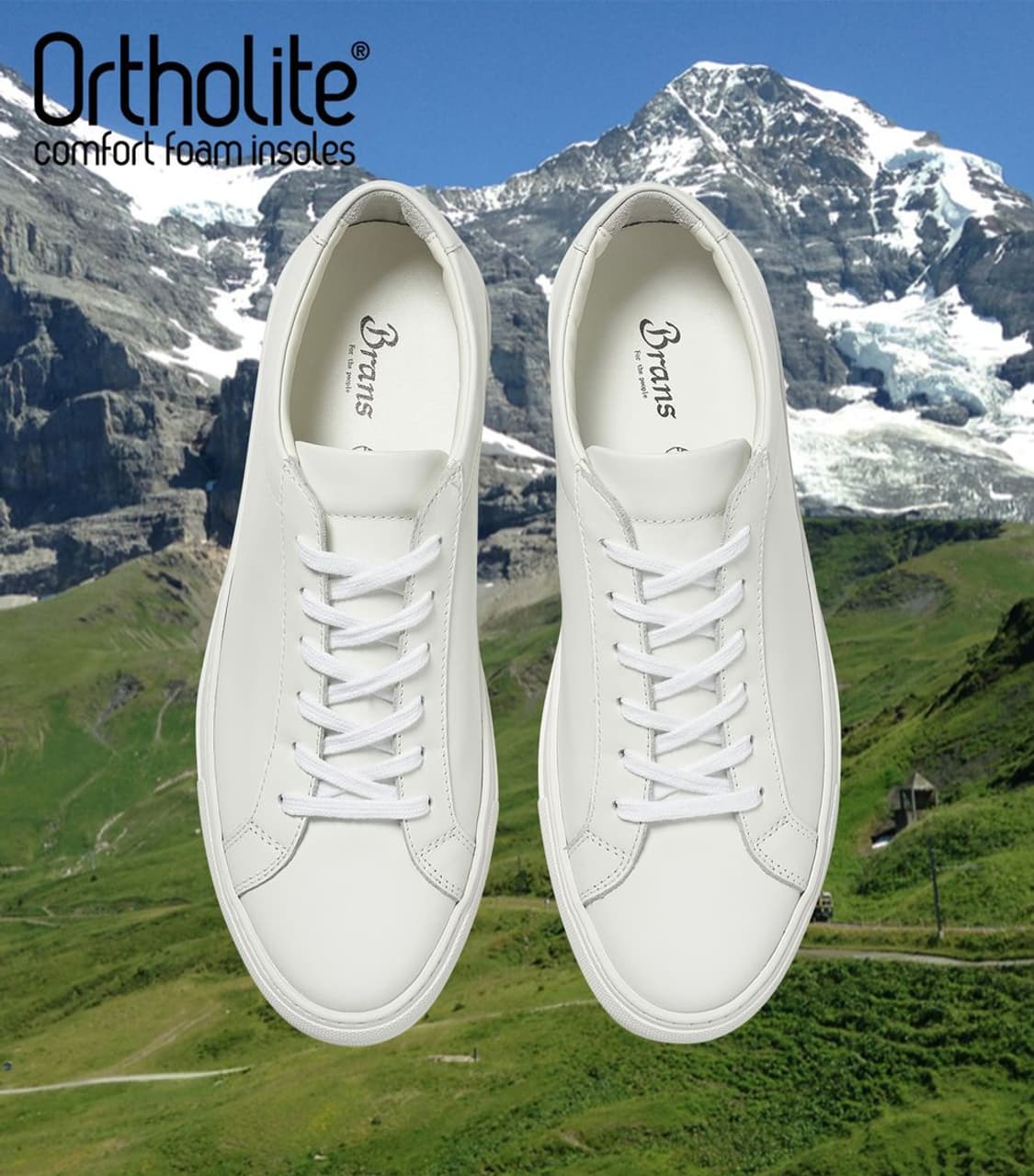 [275] 브랜즈 알프스 상품이미지1