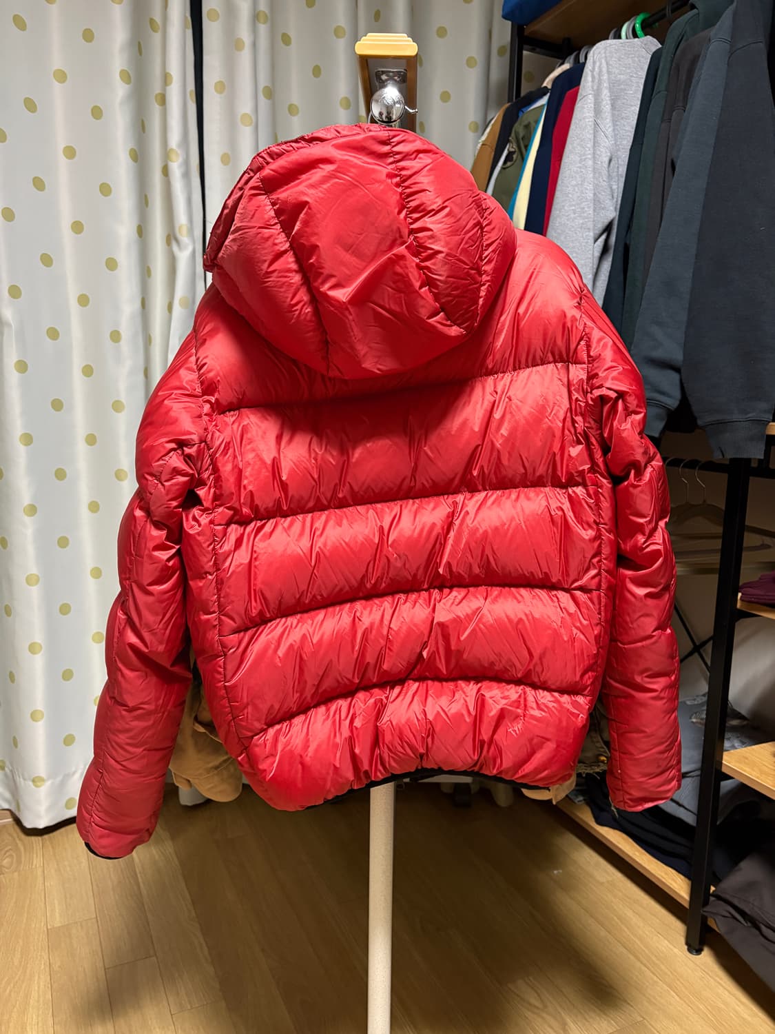 페더드프렌즈 헬리오스 M 구형 상품이미지4