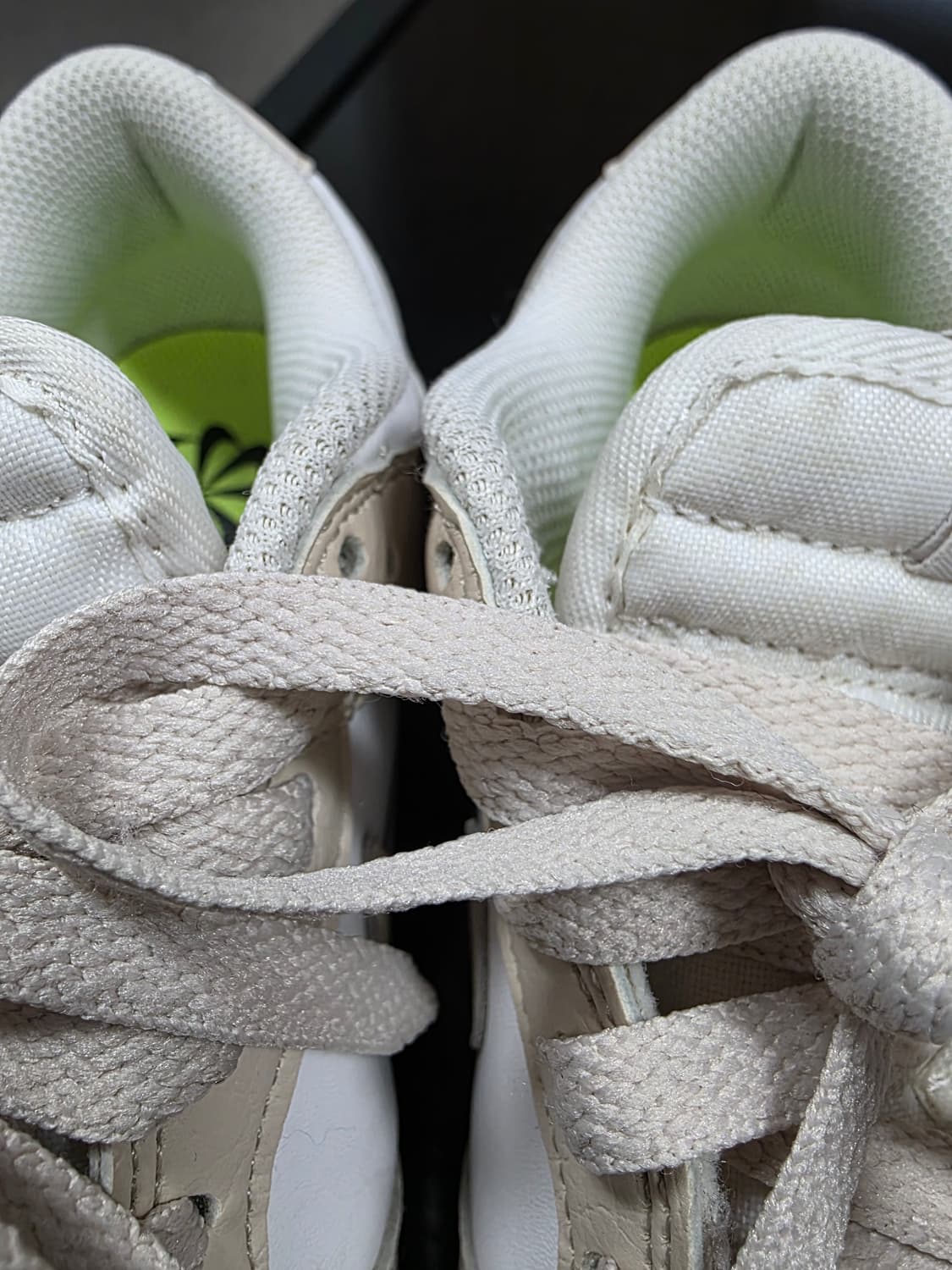 [235] 나이키 덩크 로우 넥스트 네이쳐 상품이미지3