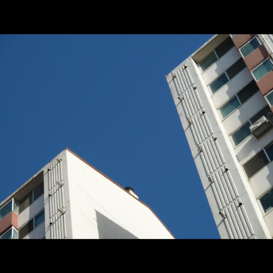 작례⭕️ 파나소닉  루믹스 DMC-TZ1 소프트스킨 ✨빈티지 디카  상품이미지4