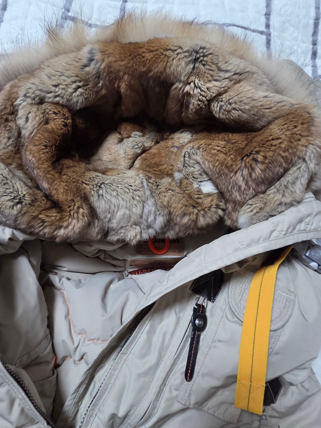 파라점퍼스 마스터피스 고비 패딩 S 상품이미지7