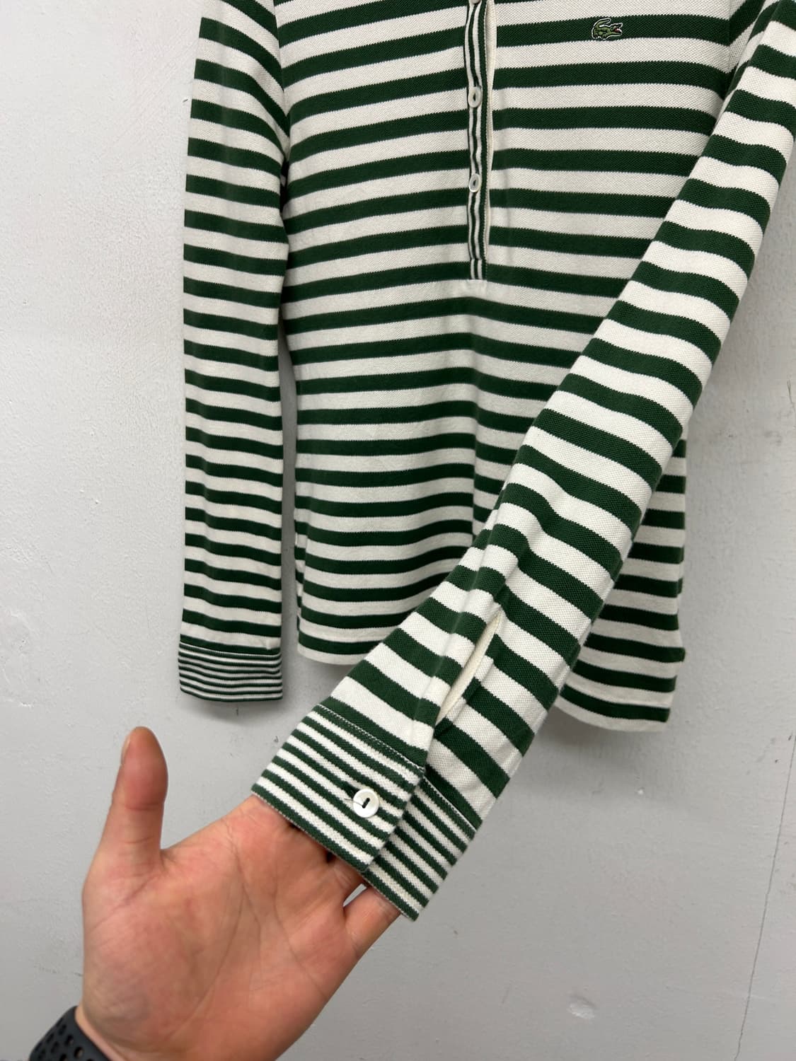 JPN 라코스테 스트라이프 카라티 상품이미지3