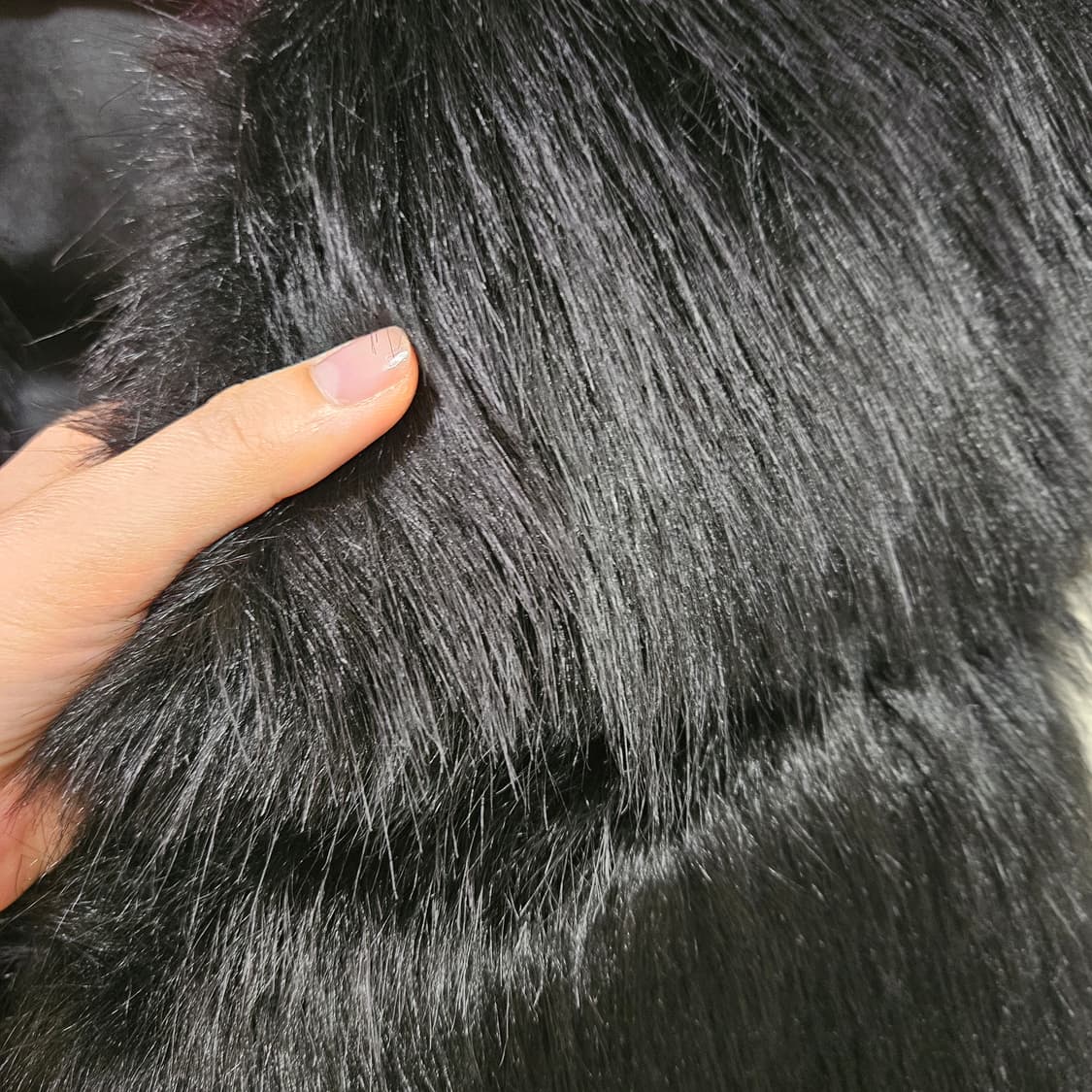 블랙 에코퍼 베스트 상품이미지2