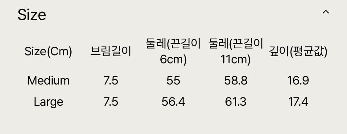 tefstores 테프스토어즈 모자 상품이미지2