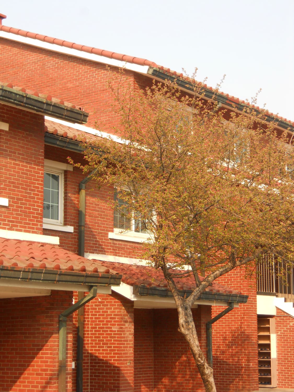 필름색감&입문!) Nikon CoolPix S1 디카 카메라 상품이미지2