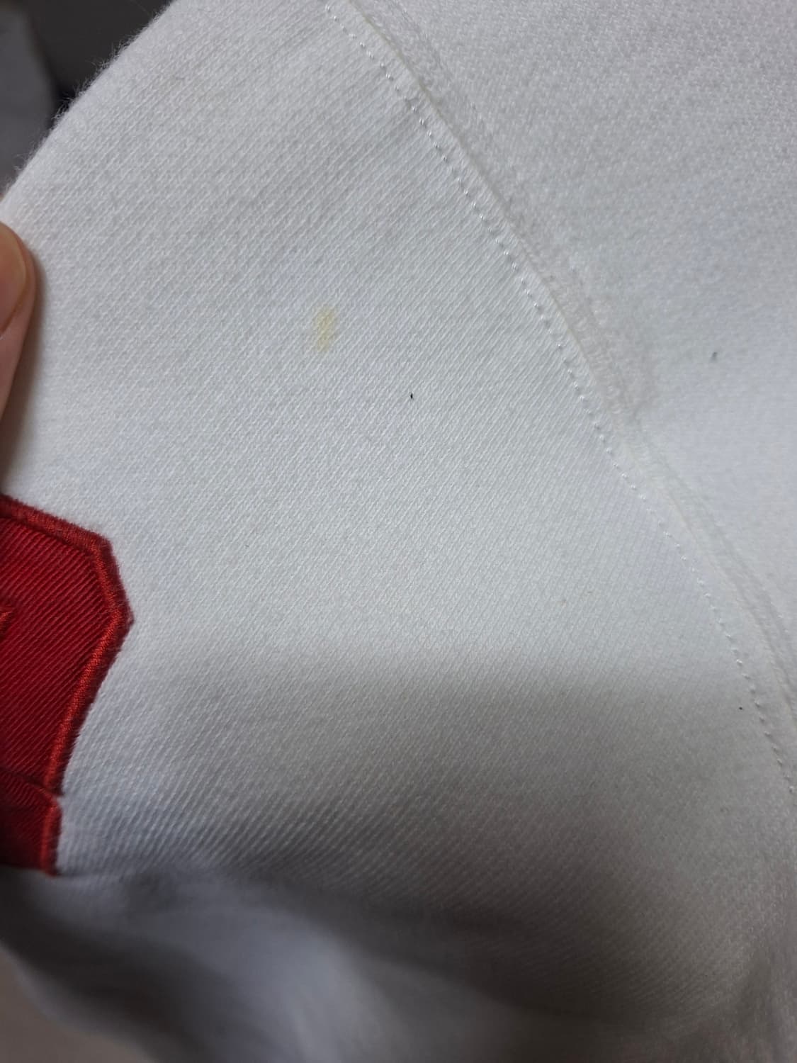 폴로 빅포니 치프키프 LXVII 후드티 상품이미지6