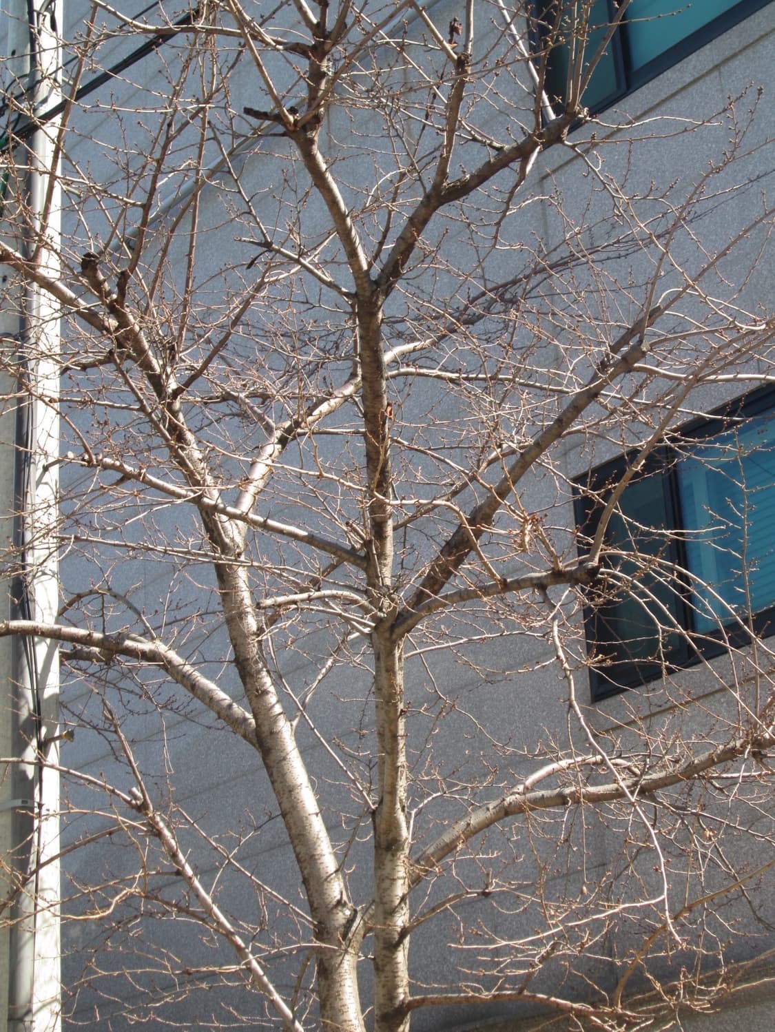 캐논 파워샷 a3500 is 실버 카메라 상품이미지5