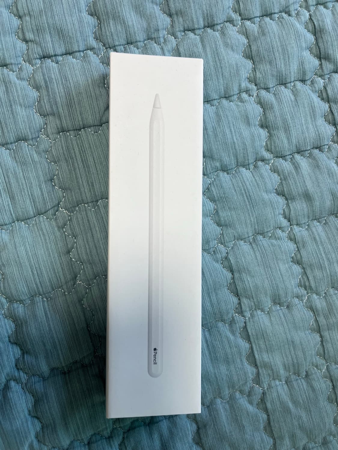 애플 펜슬 2세대 상품이미지3