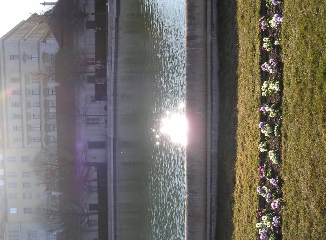 Olympus Camedia d-560 zoom 디지털 카메라  상품이미지2