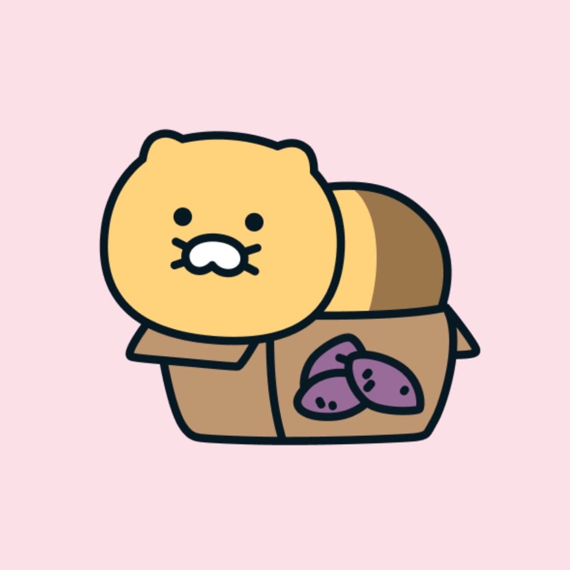 가격조정입니다 상품이미지1