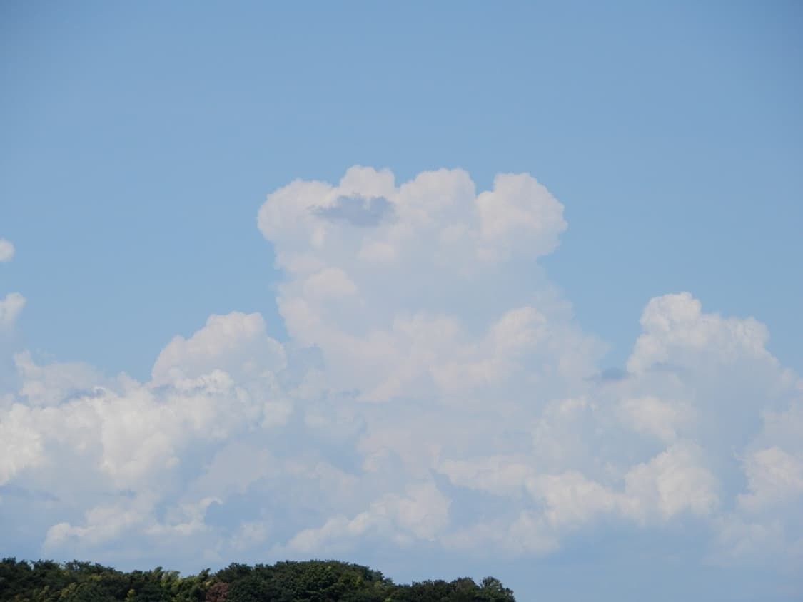 니콘 쿨픽스 Nikon COOLPIX A1000 블랙 상품이미지2