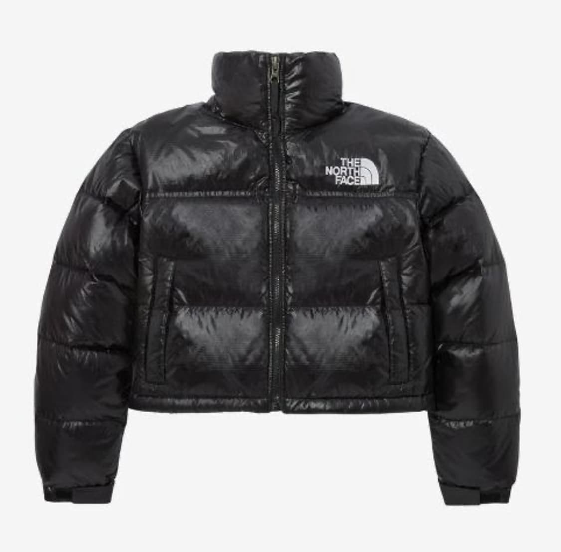 The North Face White Label Nuptse Short 상품이미지1