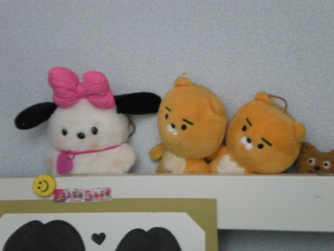 nikon coolpix s210 (니콘 쿨픽스 s210) 상품이미지10