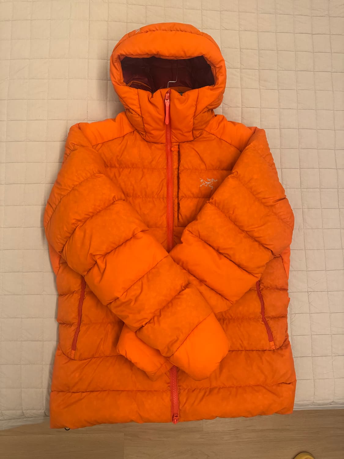 아크테릭스 토륨 후디 페놈 L 상품이미지2