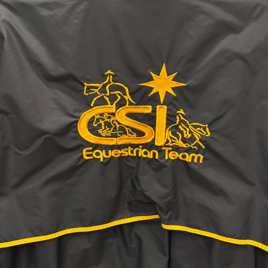 00s 나이키 올드스쿨 바람막이 후면 자수 포인트 옐로 블랙 상품이미지6