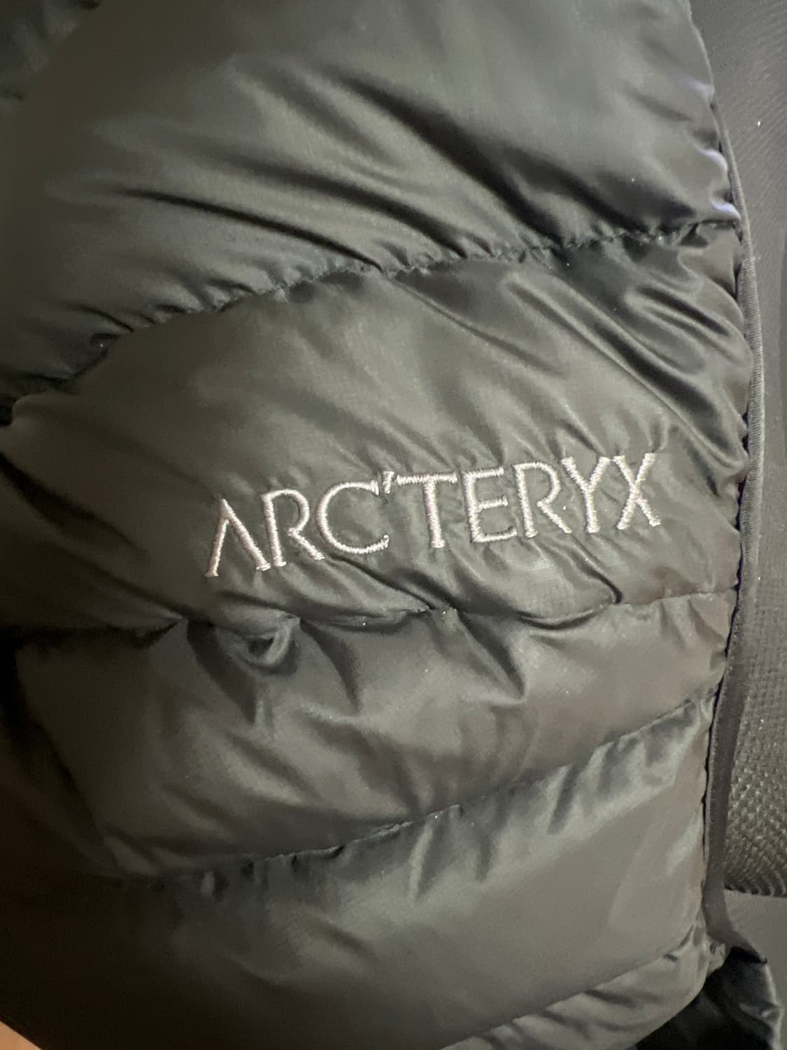 아크테릭스 세륨 후디 블랙 상품이미지2