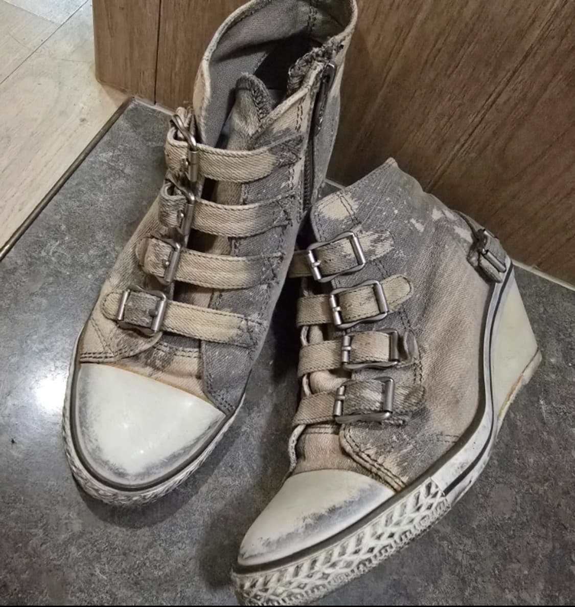 아쉬 ash 웨지힐 캔버스 230  상품이미지2