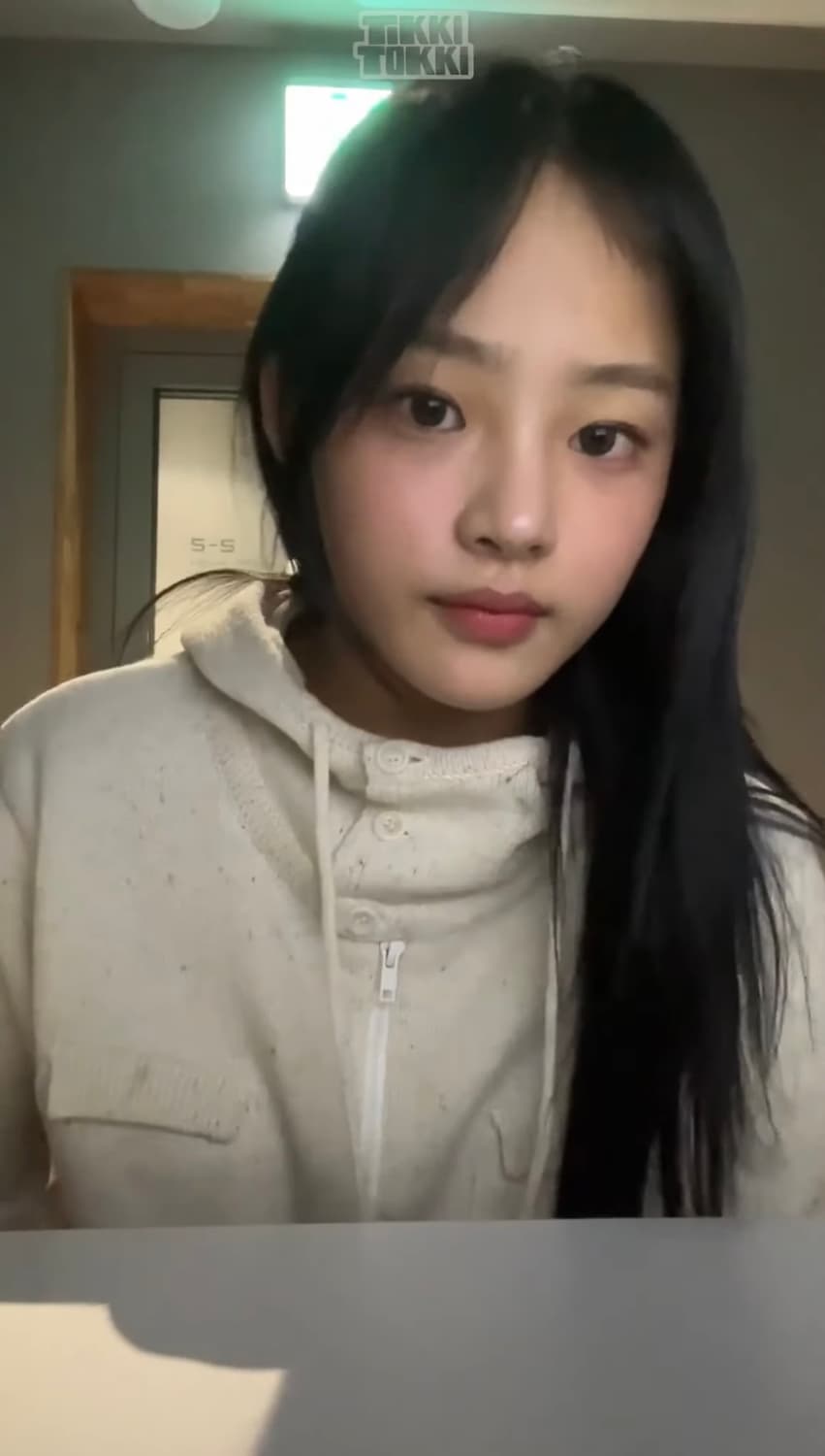 (뉴진스민지착용) 모헤 Virgin wool hoodie knit _ i 상품이미지2