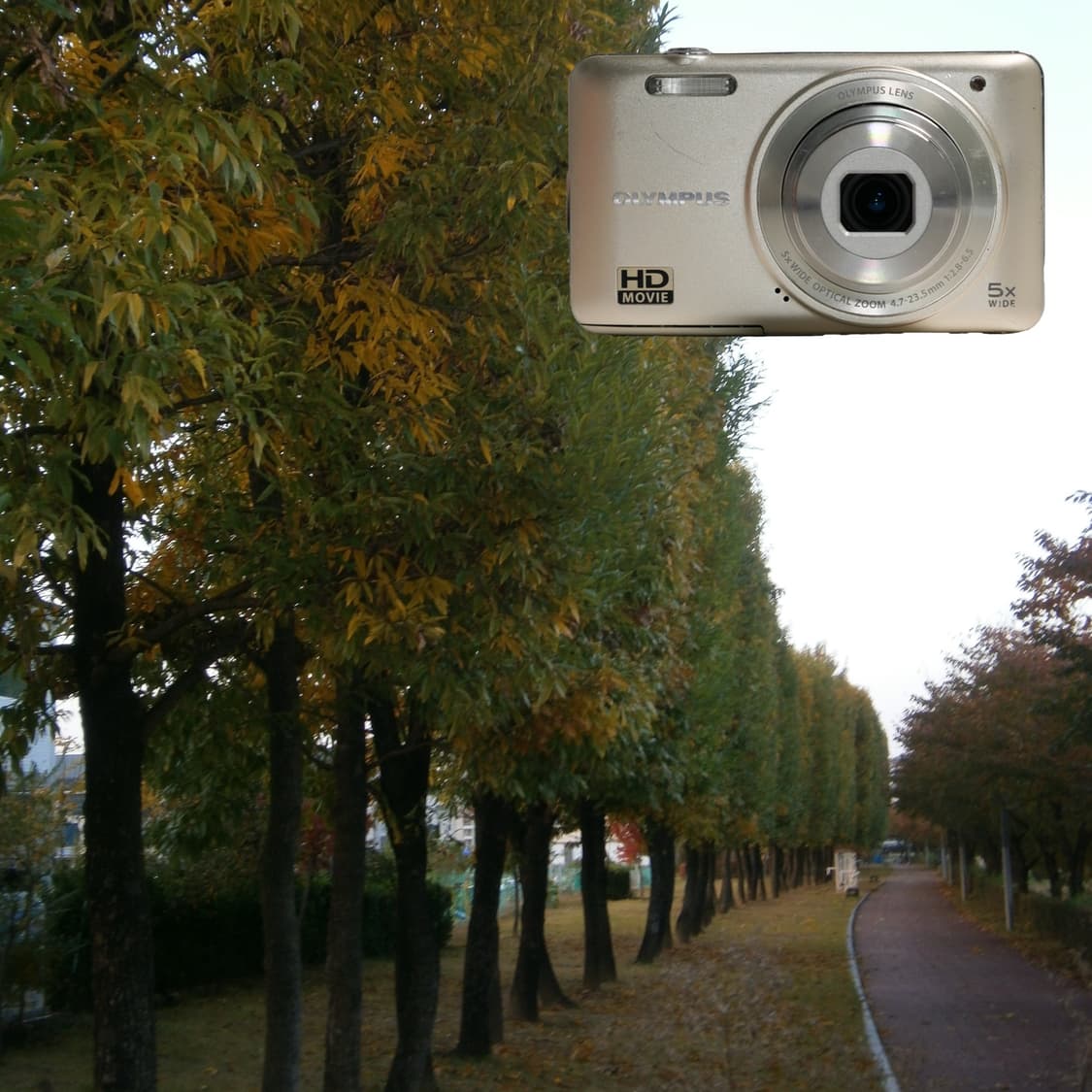 Olympus VG-135(✨민트급/🎁풀패키지) 상품이미지2