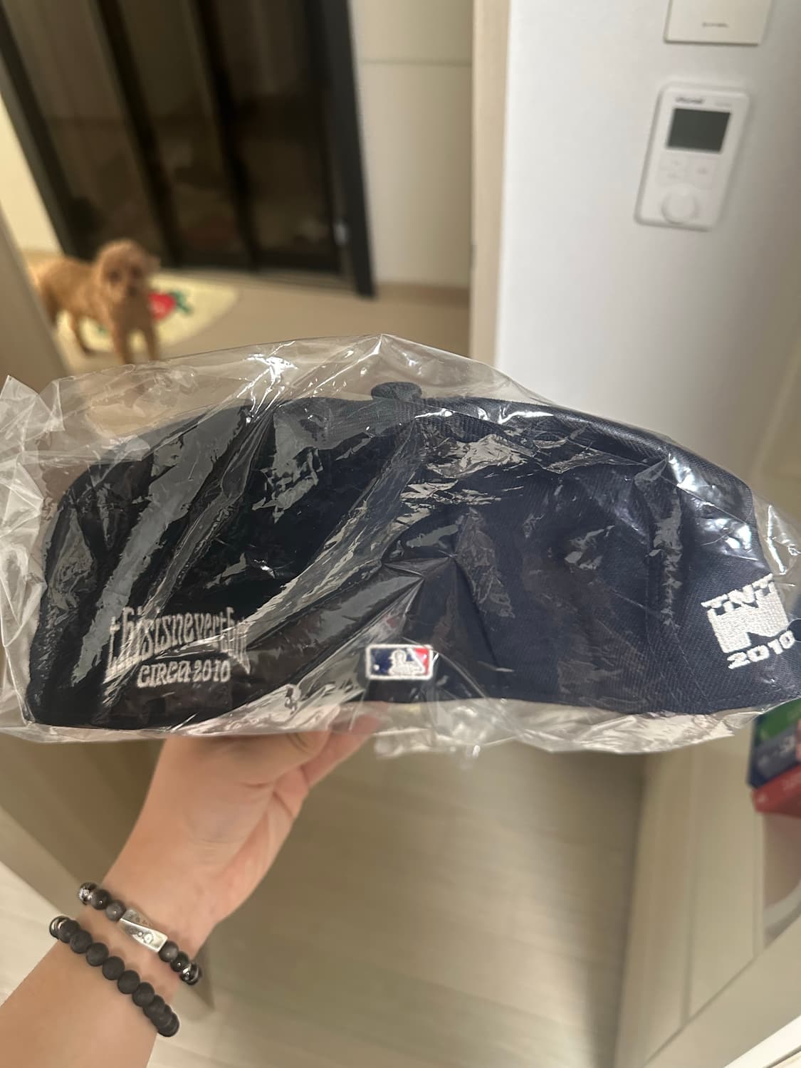 뉴에라 디네댓 스냅백 상품이미지2