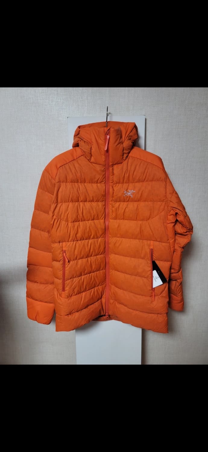 아크테릭스 토륨 사이즈 sm 팝니다  상품이미지5