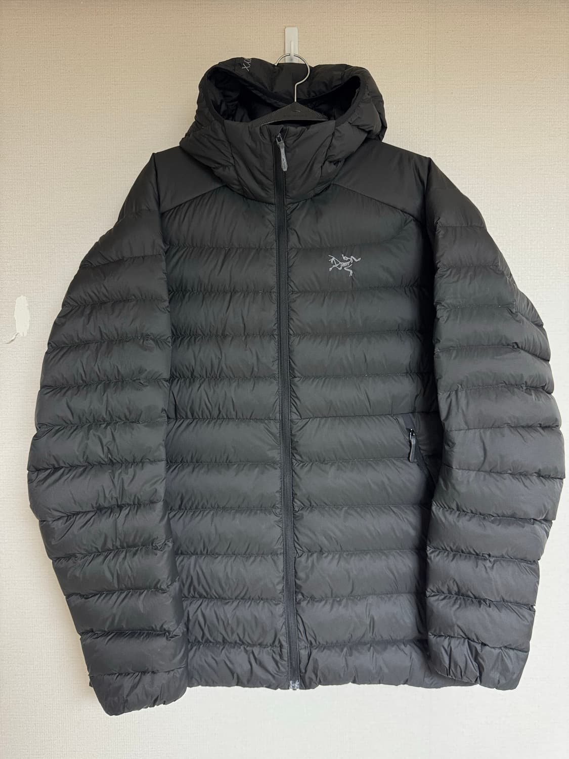 L 아크테릭스 세륨 후디 블랙 패딩 후드 점퍼 상품이미지1