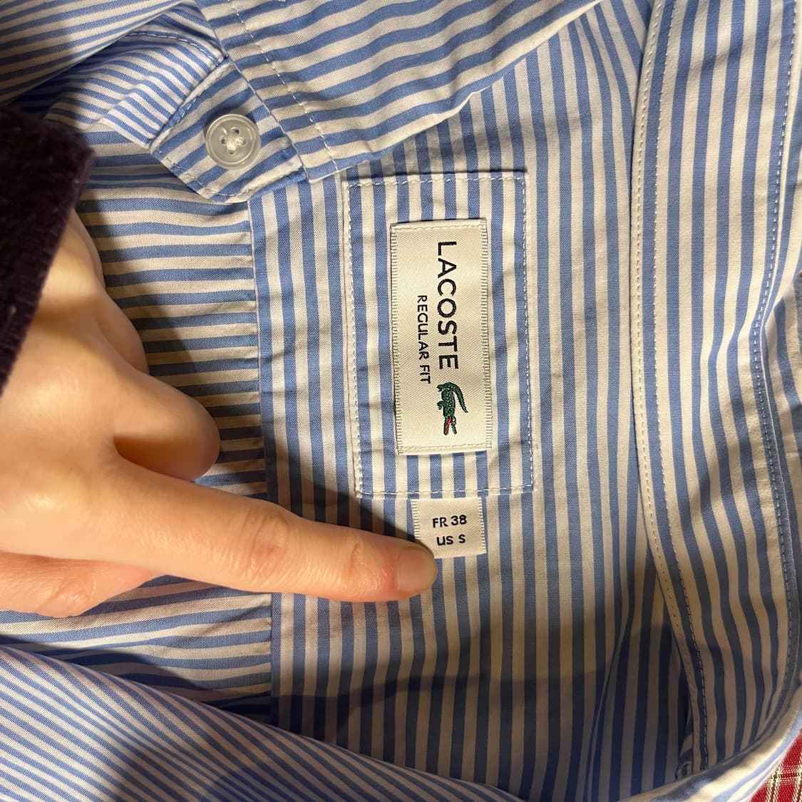 라코스테 스트라이프 셔츠 상품이미지5